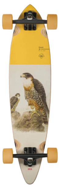 Pintail - falcon - 34" longboard | GLOBE